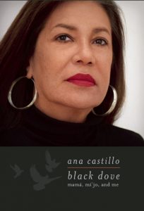 Black Dove by Ana Castillo