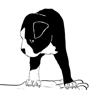 Hank Canine Ironman by Sean Ironman